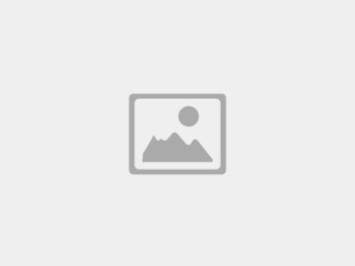 BetWinner